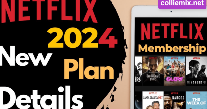 Netflix Plans 2024 Guide: Detailed Breakdown of Mobile, Basic, Standard, and Premium Plans for India – Pricing and Benefits